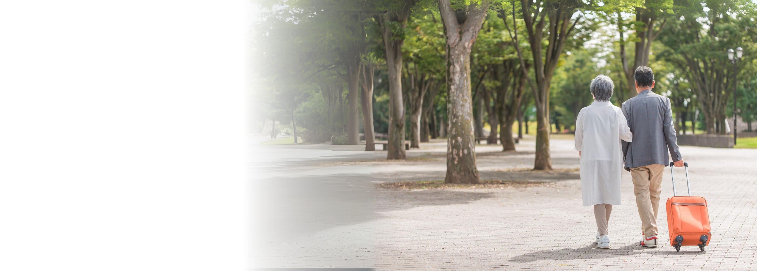 旅行の付き添い・介護付き旅行（トラベルヘルプサービス）